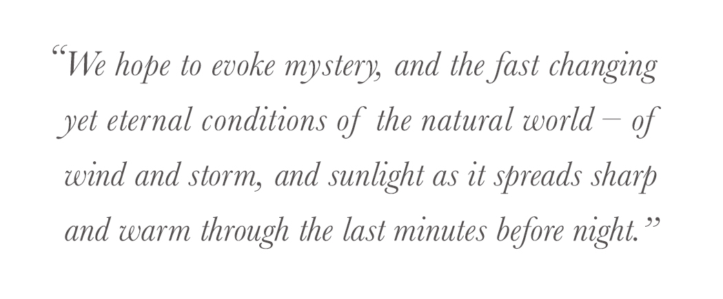 "We hope to evoke mystery, and the fast changing yet eternal conditions of the natural world – of wind and storm, and sunlight as it spreads sharp and warm through the last minutes before night.” - todd pownell