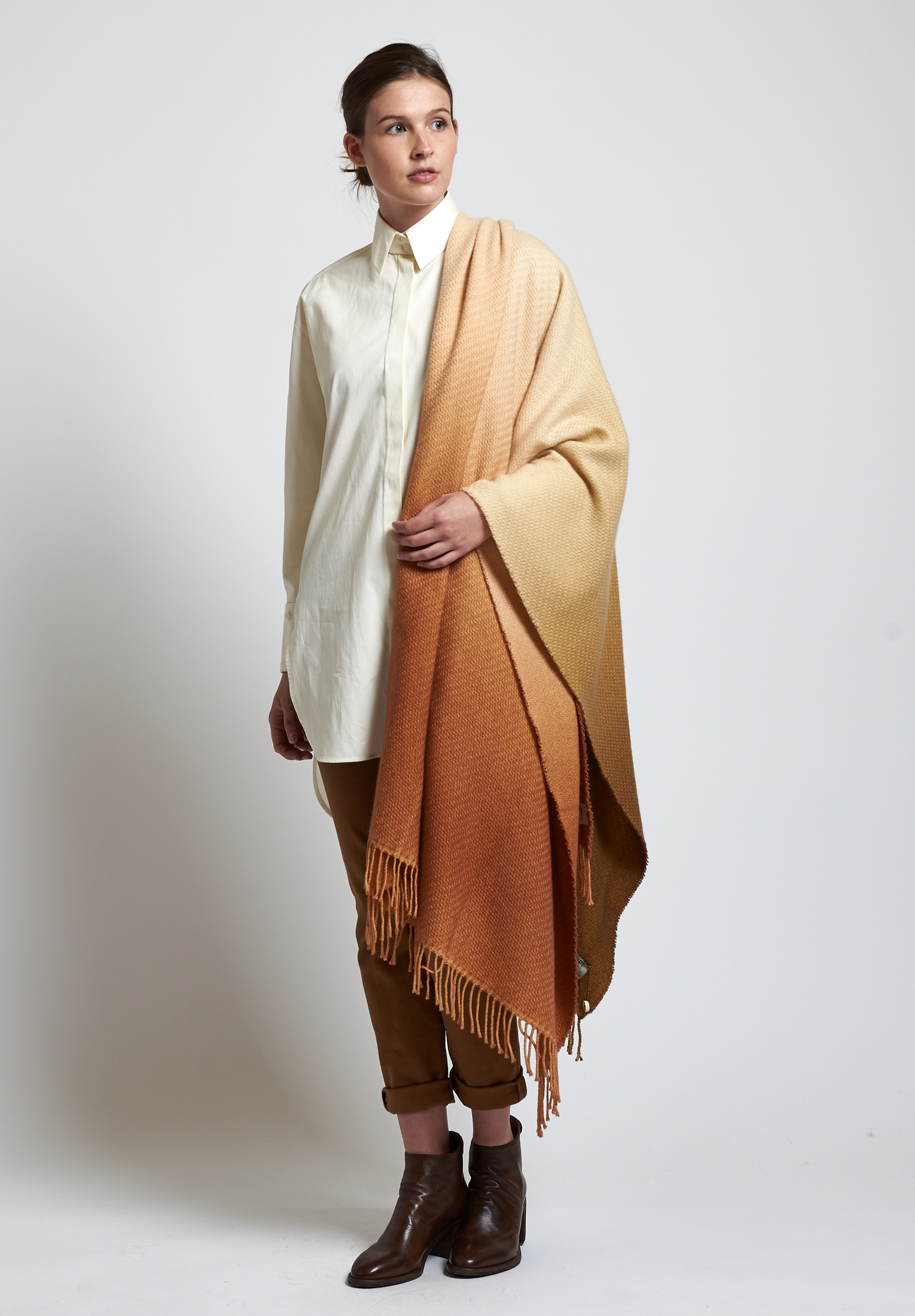 alonpi cashmere and the row