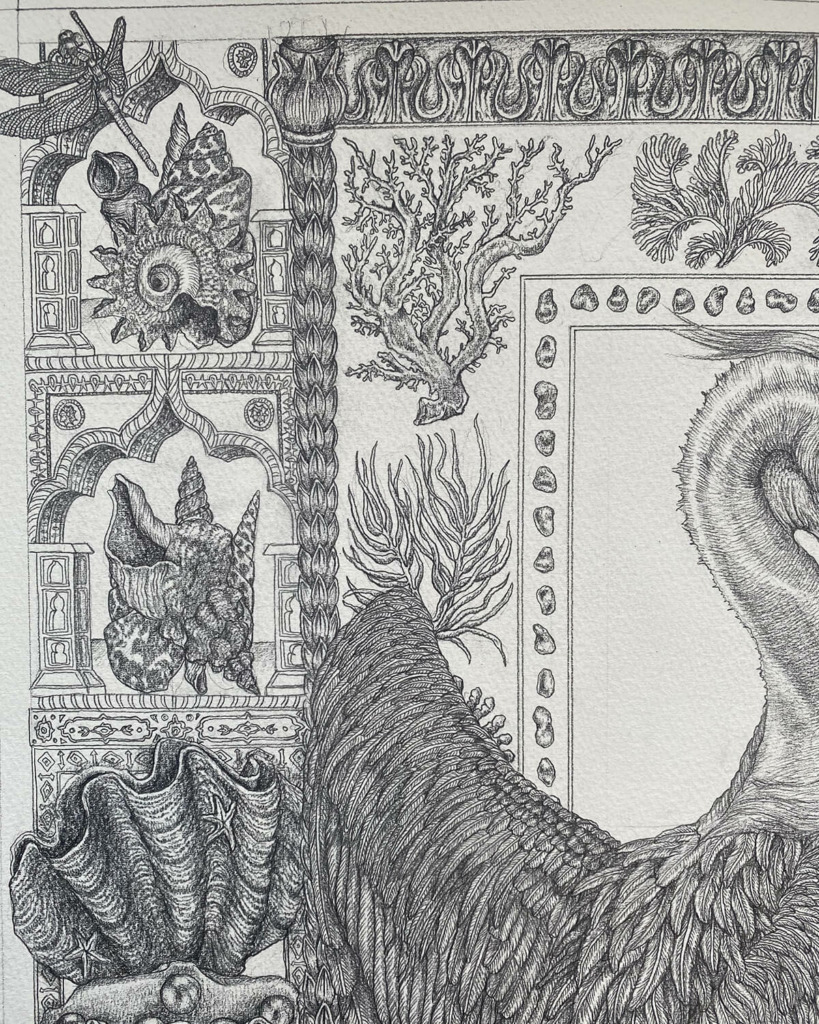 Sabina Savage Drawings: PANCHATANTRA