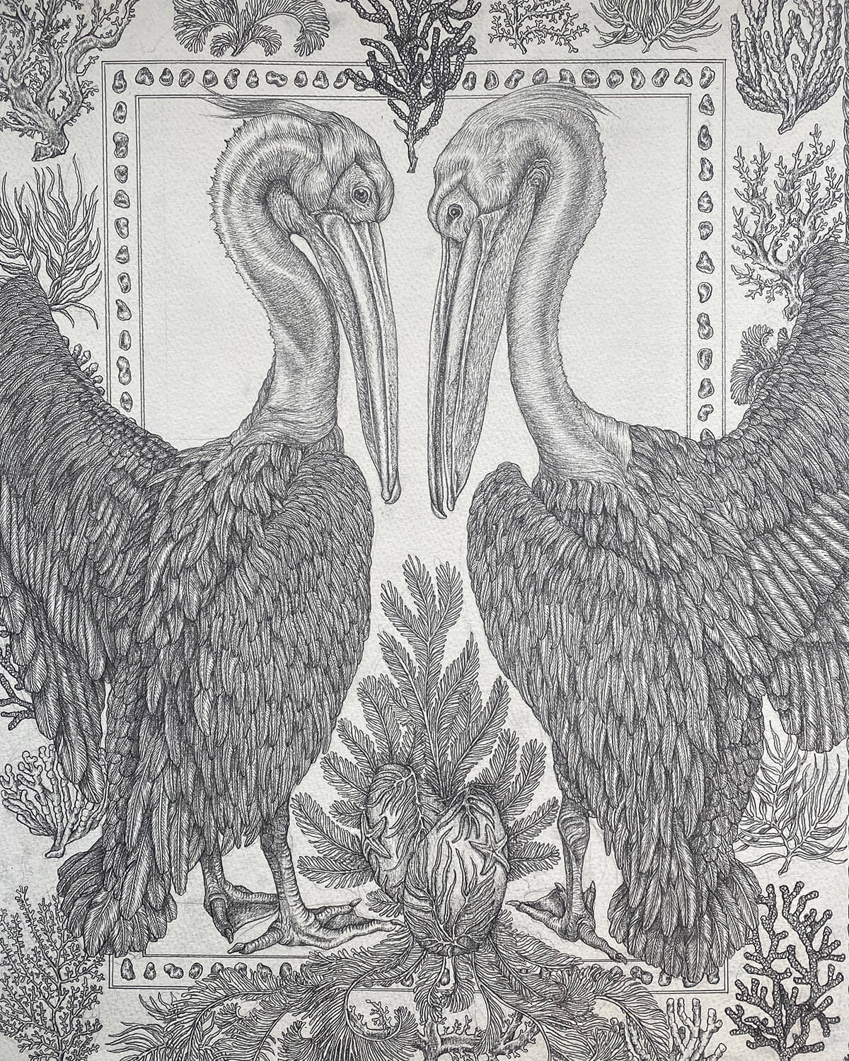 Sabina Savage Drawings: PANCHATANTRA Seagulls
