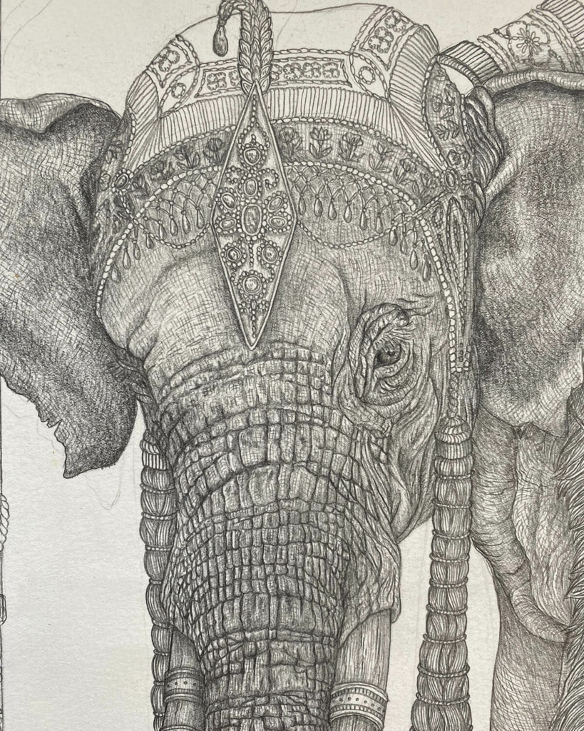 Sabina Savage Drawings: PANCHATANTRA