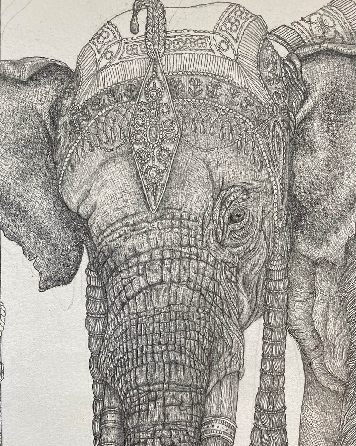 Sabina Savage Drawings: PANCHATANTRA