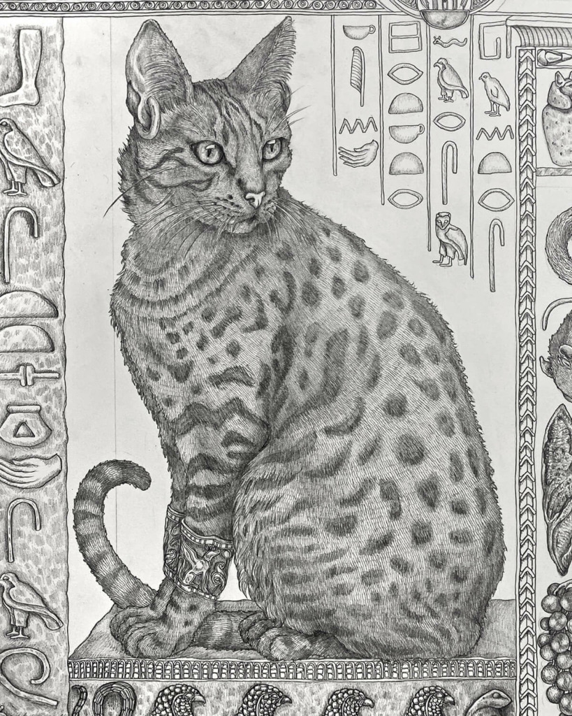 Sabina Savage Illustration Detail