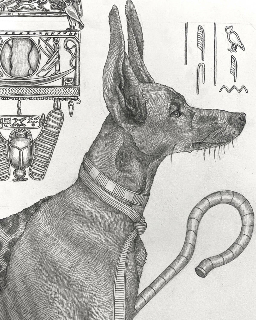 Sabina Savage Illustration Detail