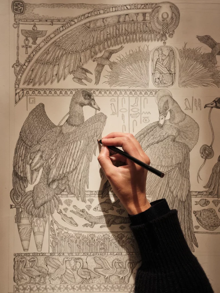 Sabina Savage Illustration in Progress