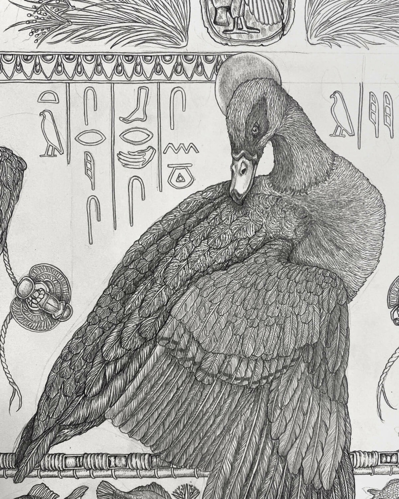 Sabina Savage Illustration Detail